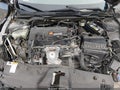 2019 Honda Civic — photo 10 of 15 | VIN 2HGFC4B88KH308481