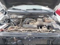 Photo 10 of 16 — 2010 Ford F-150