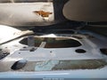 Photo 16 of 16 — 2003 Ford Ranger