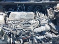 Photo 10 of 17 — 2024 Toyota Sienna