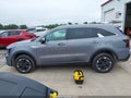2024 Kia Sorento — photo 14 of 17 | VIN 5XYRLDJC1RG282820