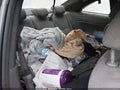2008 Honda Civic — photo 8 of 11 | VIN 2HGFG12878H554319