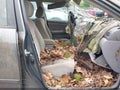2007 Toyota Corolla — photo 5 of 13 | VIN 2T1BR32E17C851278