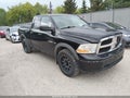Photo 1 of 17 — 2010 Dodge Ram 1500