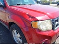 Photo 6 of 12 — 2011 Ford Escape