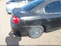 2005 Dodge Neon — photo 6 of 11 | VIN 1B3ES66S55D193212