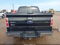 Photo 17 of 20 — 2010 Ford F-150