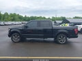 Photo 14 of 16 — 2016 Ford F-150
