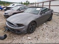 2013 Ford Mustang — photo 2 of 17 | VIN 1ZBP8EM9D5224789