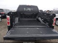 2014 Ford F-150 — photo 16 of 16 | VIN 1FTFW1CF1EKE96064