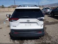 Photo 16 of 16 — 2019 Toyota RAV4