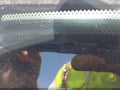 2008 Infiniti FX35 — photo 11 of 11 | VIN JNRAS08U28X102179