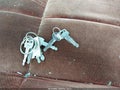 Photo 11 of 11 — 1986 Ford F-250
