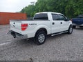 2014 Ford F-150 — photo 4 of 17 | VIN 1FTFW1EF1EFD03062