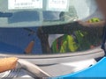 Photo 12 of 12 — 2006 Hyundai Elantra