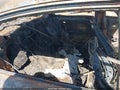Photo 8 of 11 — 2017 Hyundai Sonata