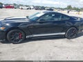 Photo 6 of 19 — 2016 Ford SHELBY