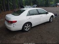 Photo 4 of 11 — 2003 Honda Accord