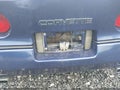 Photo 12 of 12 — 1984 Chevrolet Corvette
