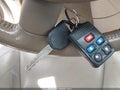 2004 Ford Freestar — photo 11 of 11 | VIN 2FMZA52244BA63313