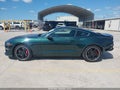 2019 Ford Mustang — photo 15 of 18 | VIN 1FA6P8K07K5502131