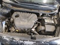 Photo 10 of 11 — 2014 Kia Rio