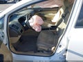Photo 5 of 11 — 2008 Honda Civic Hybrid