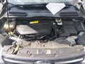 Photo 10 of 11 — 2015 Ford Escape