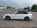Photo 14 of 21 — 2019 Ford Mustang