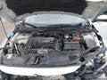 Photo 10 of 20 — 2019 Honda Civic