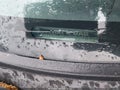 Photo 12 of 12 — 2010 Ford Escape