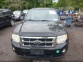 Photo 6 of 12 — 2010 Ford Escape