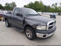 2003 Dodge Ram 1500 — photo 1 of 17 | VIN 1D7HA16K93J625192