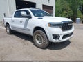 2025 Ram 1500 — photo 1 of 16 | VIN 1C6SRFKP5SN677666