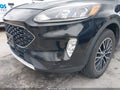 Photo 19 of 20 — 2021 Ford Escape