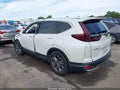 2020 Honda CR-V — photo 3 of 16 | VIN 2HKRW2H50LH673699