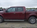 Photo 14 of 16 — 2010 Ford F-150