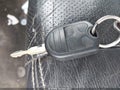 Photo 11 of 16 — 2010 Ford F-150