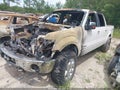 2013 Ford F-150 — photo 2 of 10 | VIN 1FTFW1ET6DKD72048