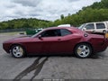 Photo 14 of 18 — 2017 Dodge Challenger