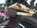 Photo 11 of 11 — 2002 Honda CR-V