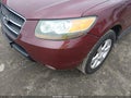 Photo 6 of 12 — 2007 Hyundai Santa Fe