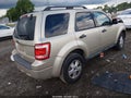 Photo 4 of 16 — 2010 Ford Escape