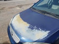 Photo 6 of 11 — 2003 Toyota Corolla