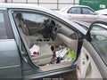 2011 Toyota Camry — photo 5 of 12 | VIN 4T4BF3EK5BR123003