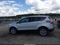 Photo 14 of 16 — 2017 Ford Escape