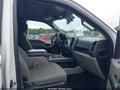 Photo 5 of 16 — 2017 Ford F-150