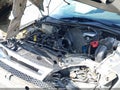 Photo 10 of 13 — 2008 Ford Focus