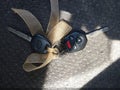Photo 11 of 11 — 2014 Subaru Impreza