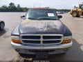 1999 Dodge Dakota — photo 12 of 12 | VIN 1B7GL22X5XS153208